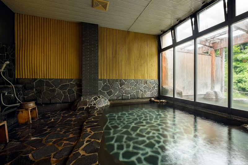 Fujisan Ryokan