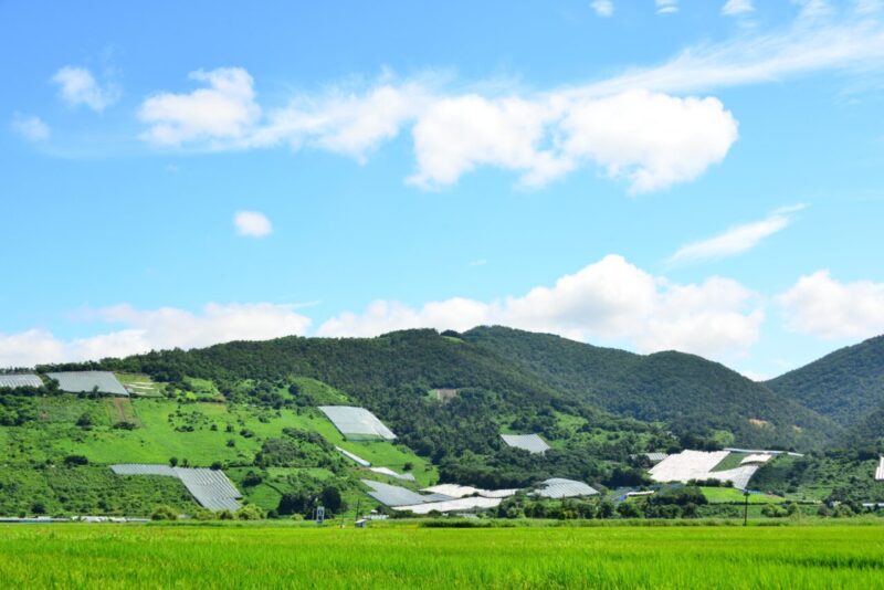 山形県高畠町