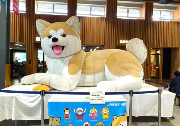 아키타 역의 거대한 아키타 개