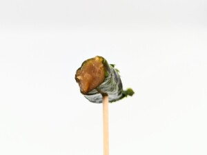 Contents of shiso roll