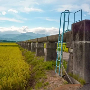 安積疏水