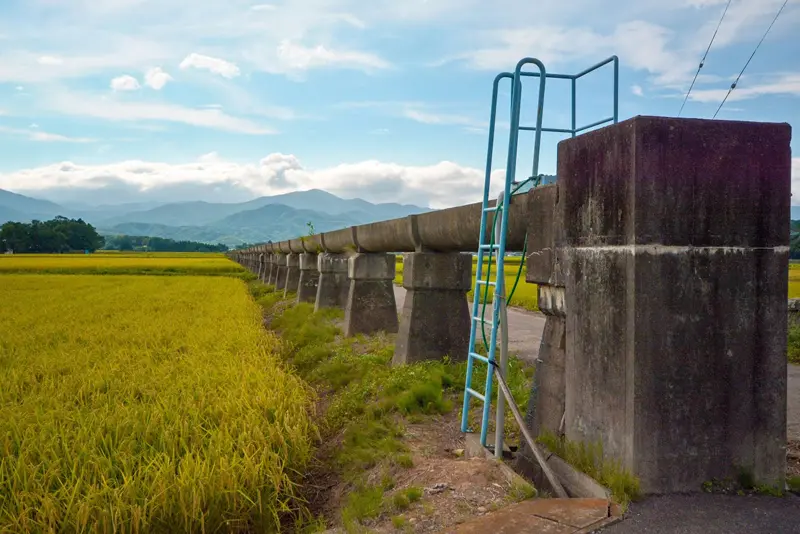 朝霞运河