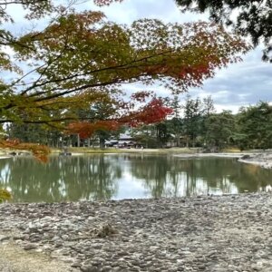 Jardin de terre pure au temple Mokoshiji