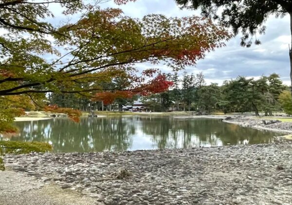 毛越寺の浄土庭園