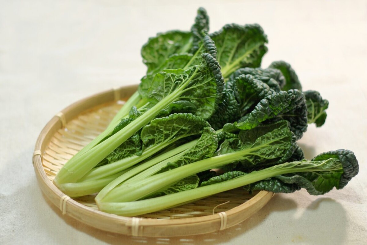 仙台雪菜