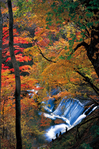 “Cataratas Nametsu” coloreadas con hojas de otoño ©Prefectura de Miyagi