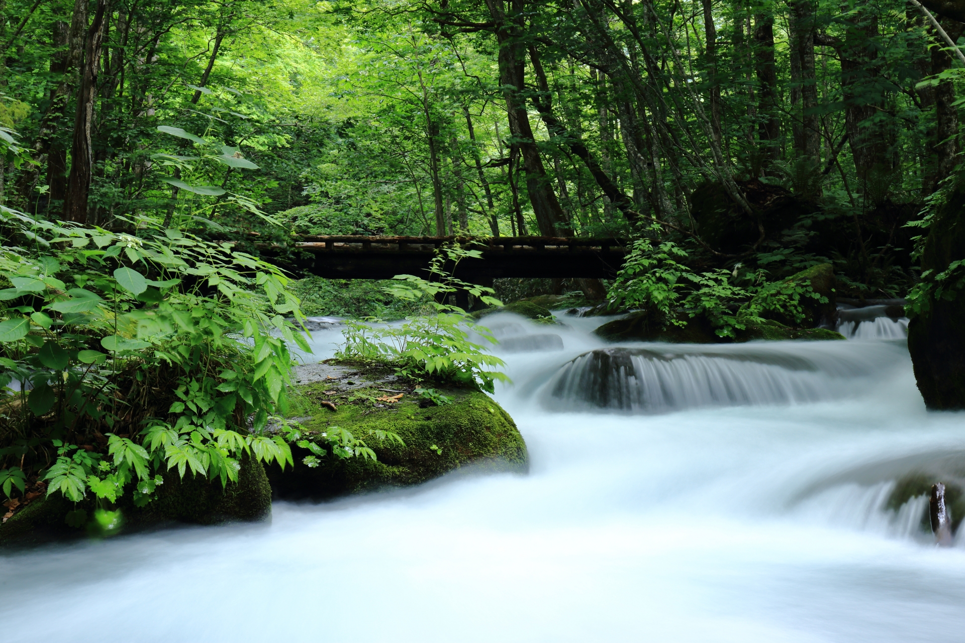 奥入瀬渓流