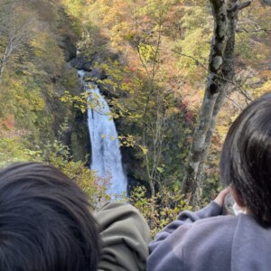 サトミオリ