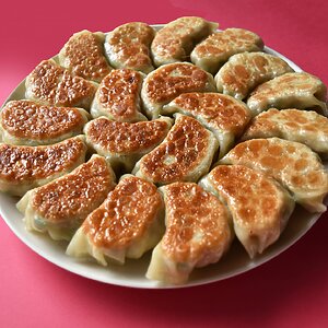 円盤餃子1