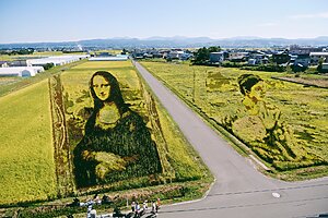 田舎館村の田んぼアート