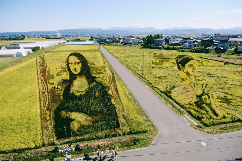 田舎館村の田んぼアート