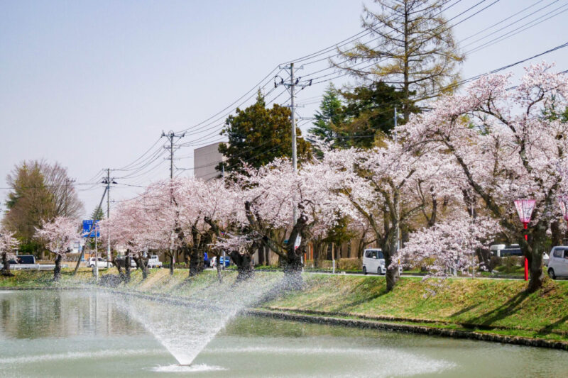 新庄城址(最上公園)