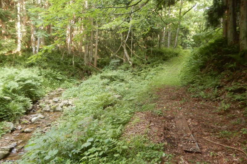 金山峠 ©上山市教育委員会