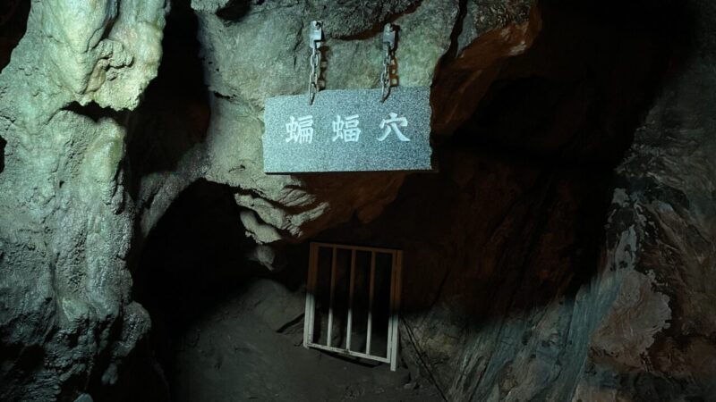 龍泉洞(蝙蝠穴)