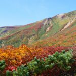 Autumn leaves of Mt. Kurikoma
