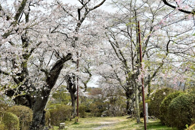 棚倉城跡(亀ヶ城公園)