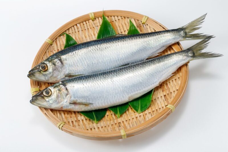 ニシン(カド)