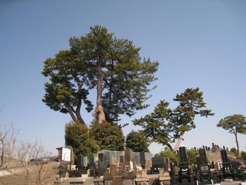 画像に alt 属性が指定されていません。ファイル名: 4e256563df5c948c2c3254285e20554a.jpg