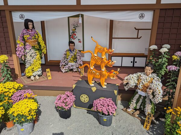 니혼마쓰 국화 인형 축제(도쿠가와 이에야스)