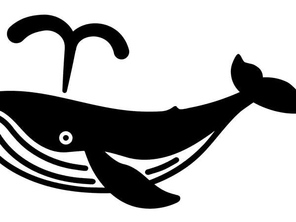 whale