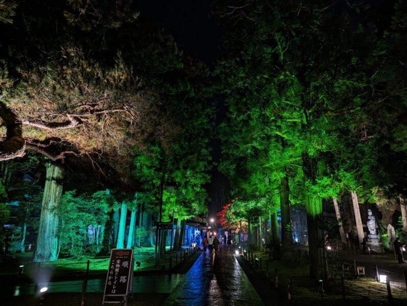 瑞巌寺夜間参拝(参道その二)