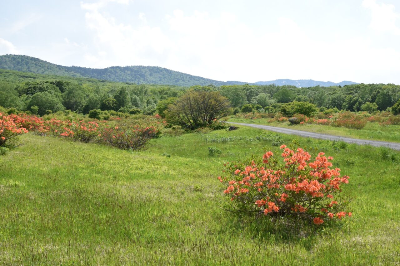 The four seasons of Appi Highlands