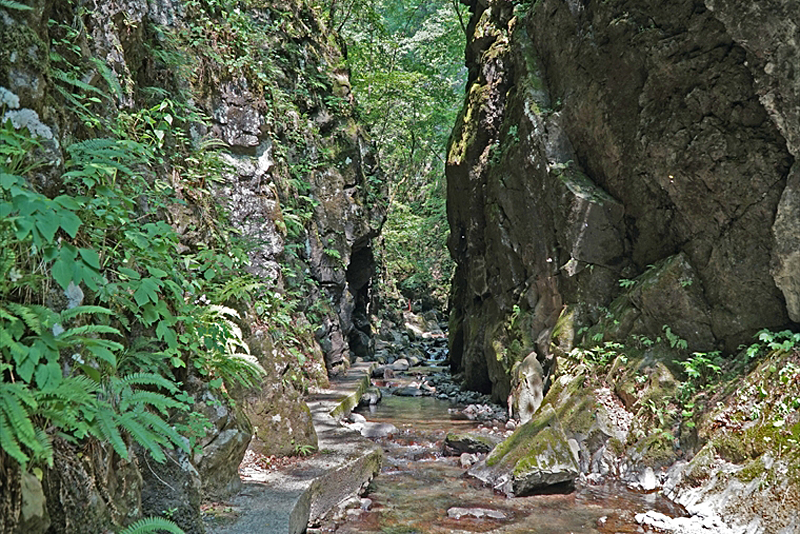 Ishizawa Otaki