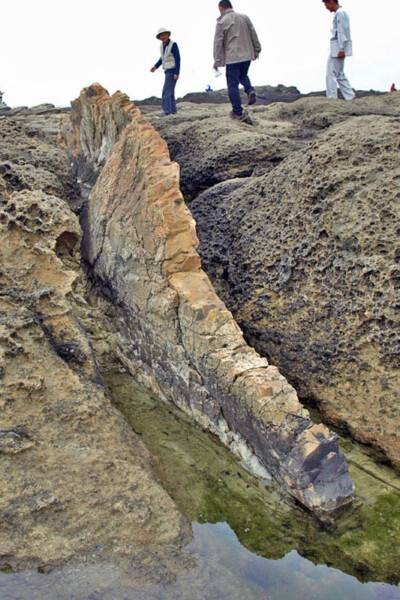 godzilla tail rock