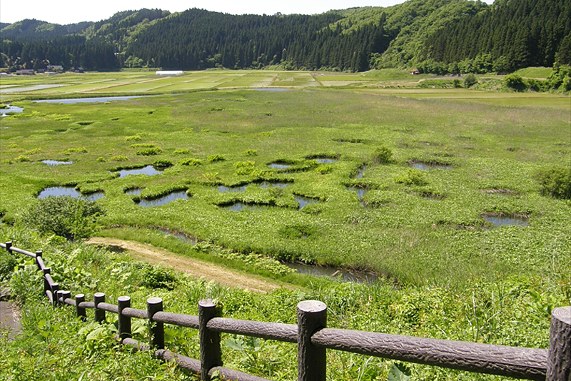 Kadakinuma Wetland