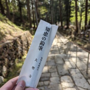 wisdom pencil