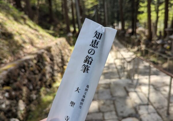 Crayon de la sagesse