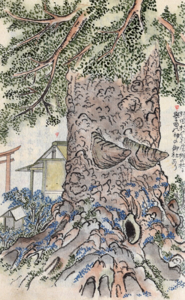 Noda's Zelkova