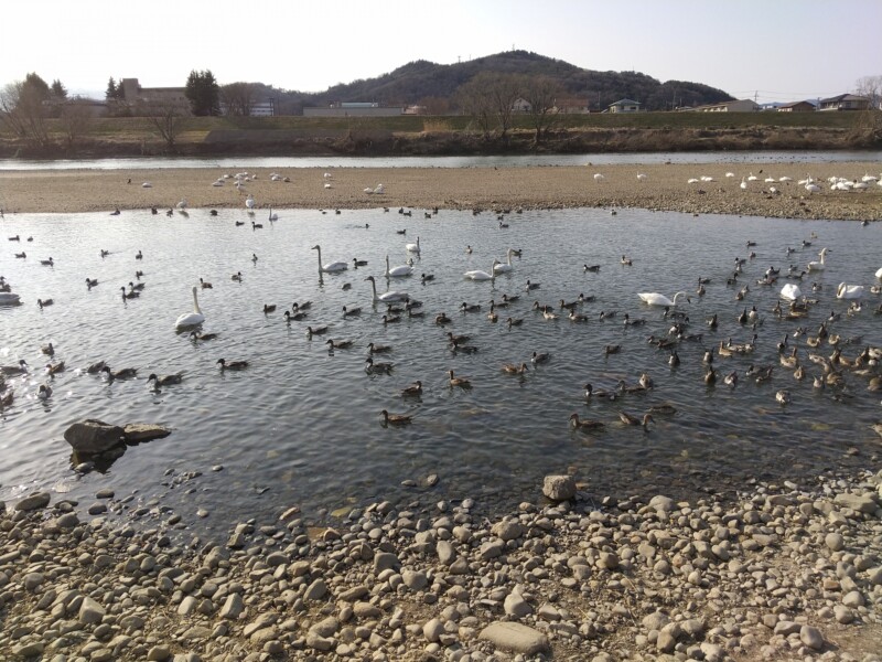 阿武隈川