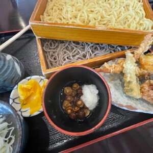 Soba de plato bicolor de Ichian
