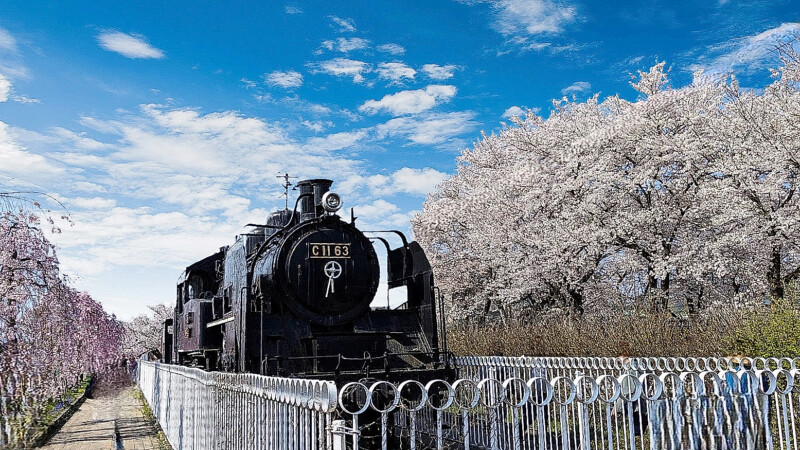 Chunichi Line Memorial Bicycle and Pedestrian Path