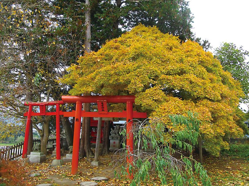亀麿神社