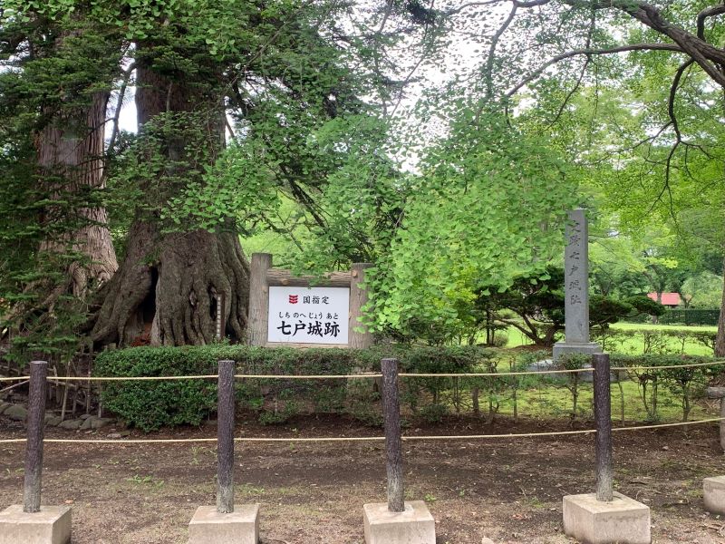 七野城迹