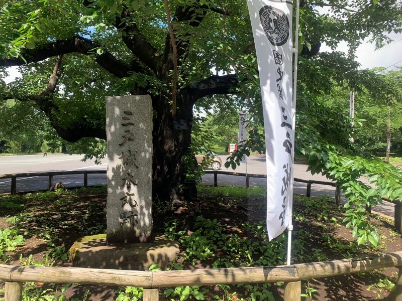 城山公園