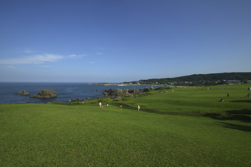 Tanesashi Coast natural lawn area