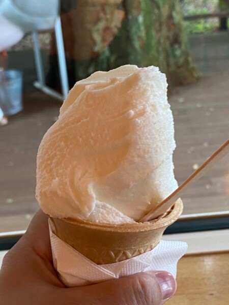 泽西牛奶