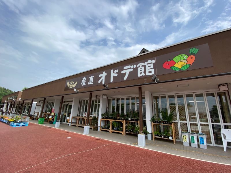 奥多德坎