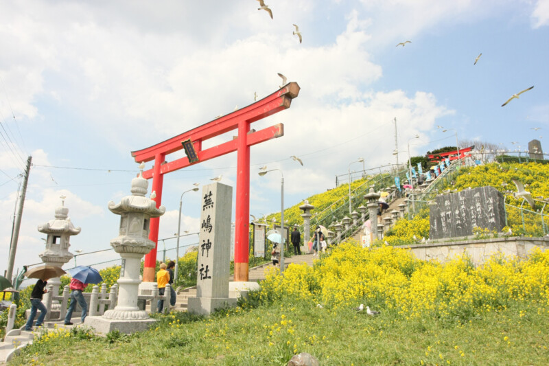Kabushima