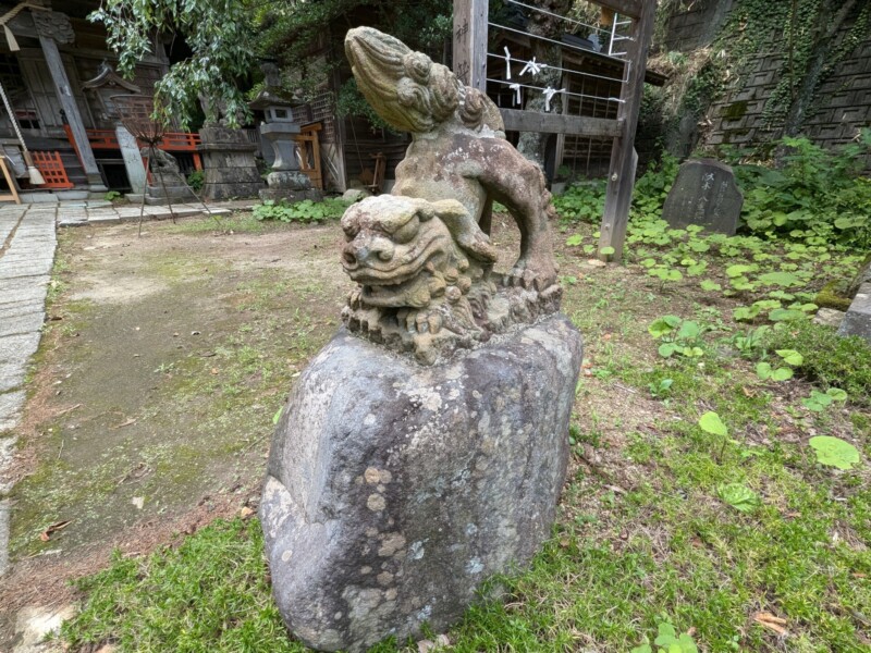 出云姿势型护卫犬(右)