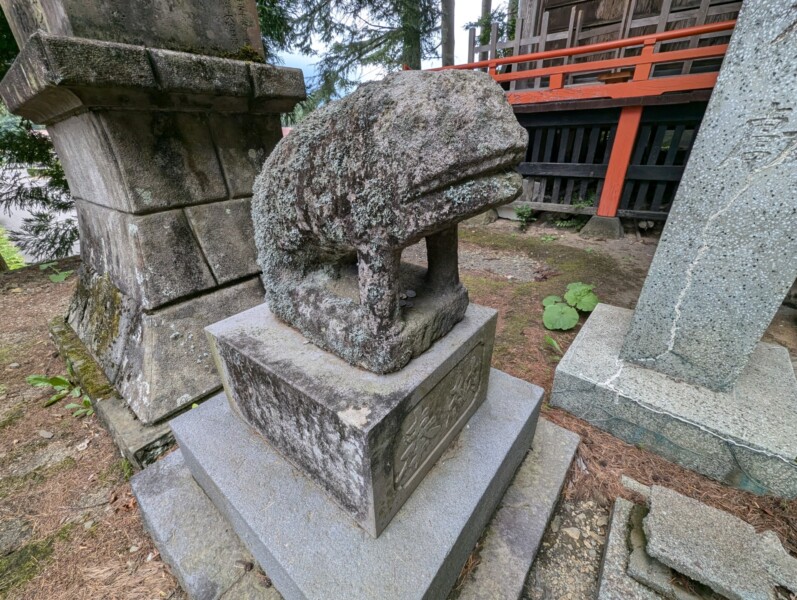 始护卫犬(左)