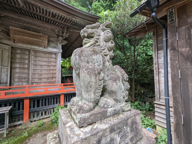 护卫型护卫犬(右)