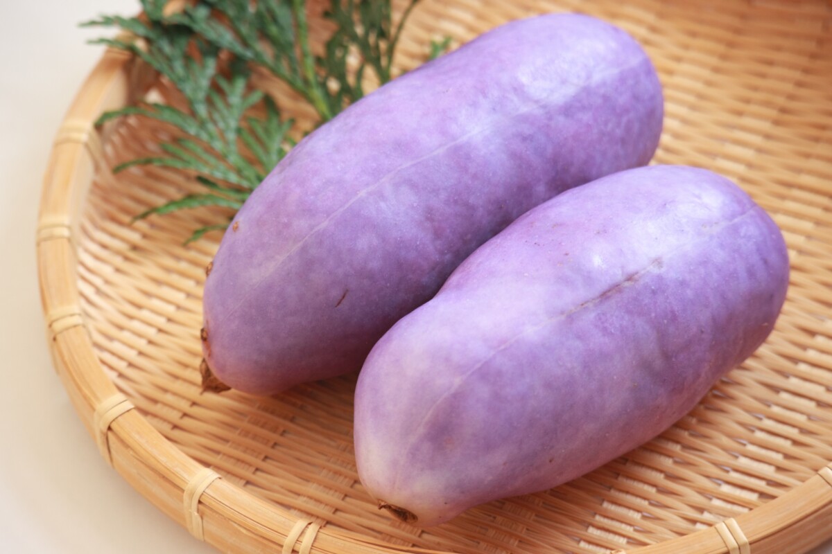 Akebia fruit