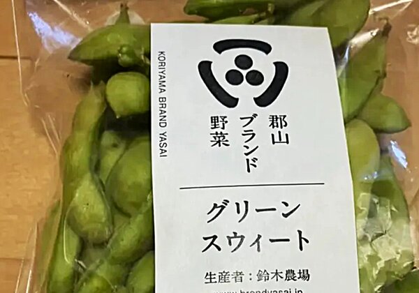 Vegetales de la marca Koriyama [verde verde]