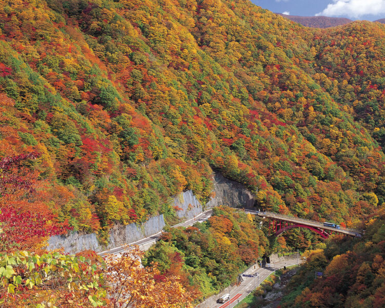 仙人峠の紅葉と仙人大橋