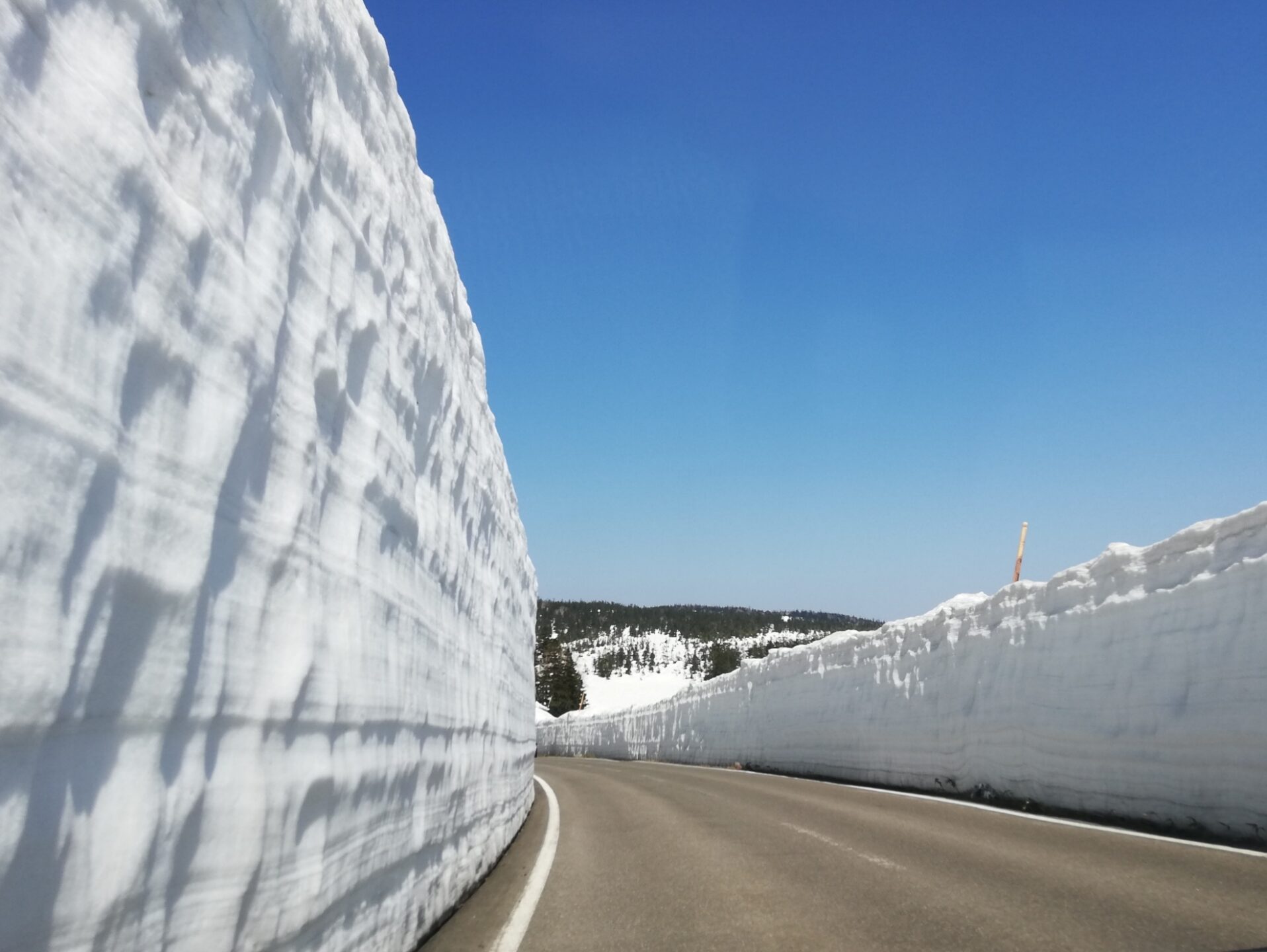 八幡平の雪の回廊