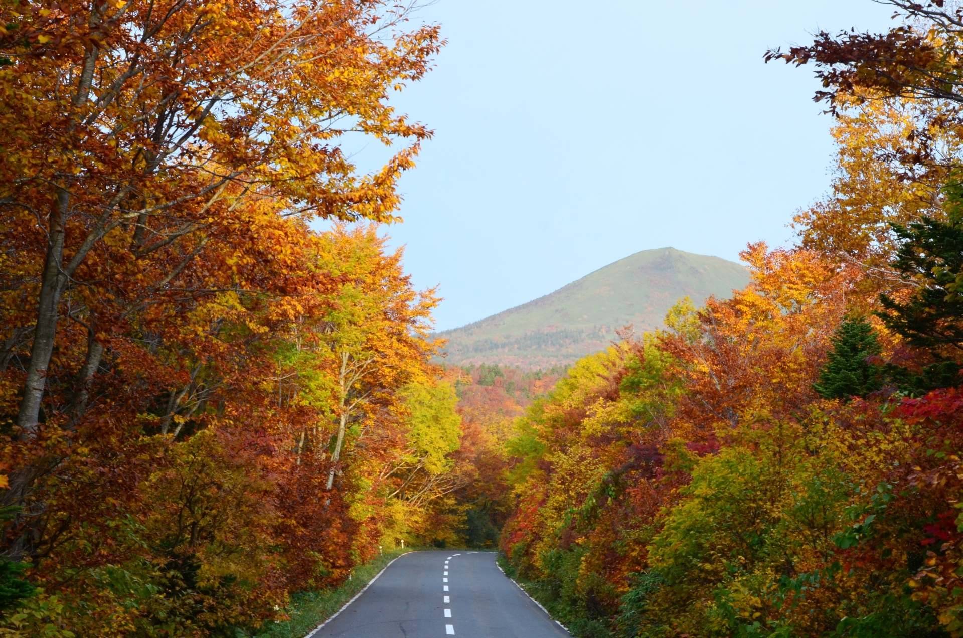 Route dans les montagnes Hakkoda